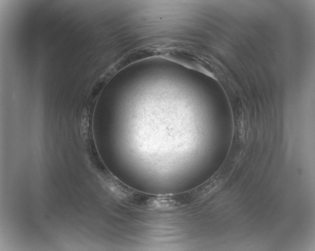 X0000071850372200607072307