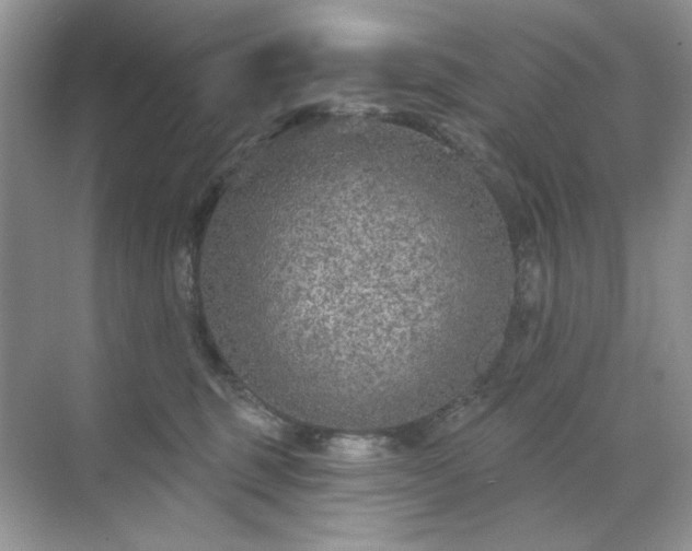 X0000071850375200607072308