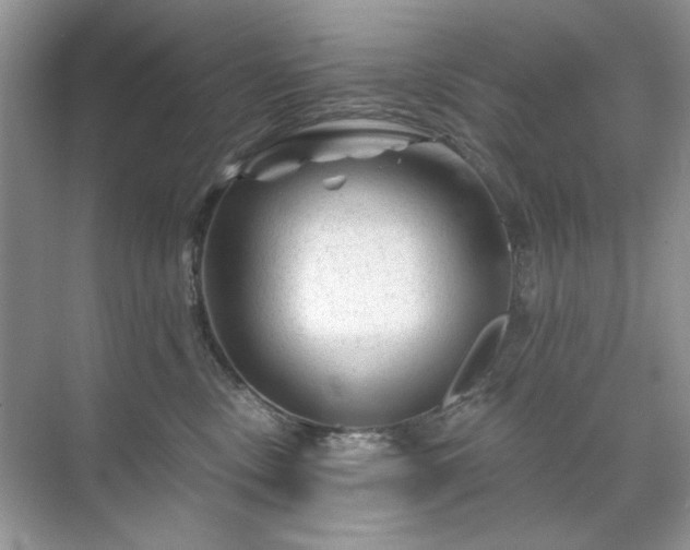 X0000071850378200607072308