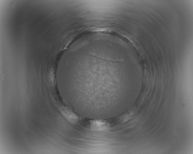 X0000071850380200607072308