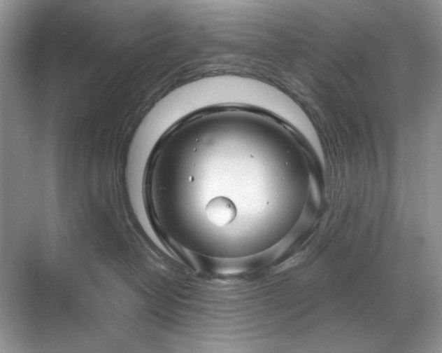 X0000071850382200607072308