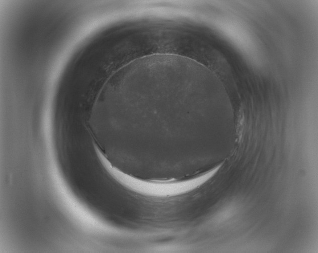 X0000071850383200607072308