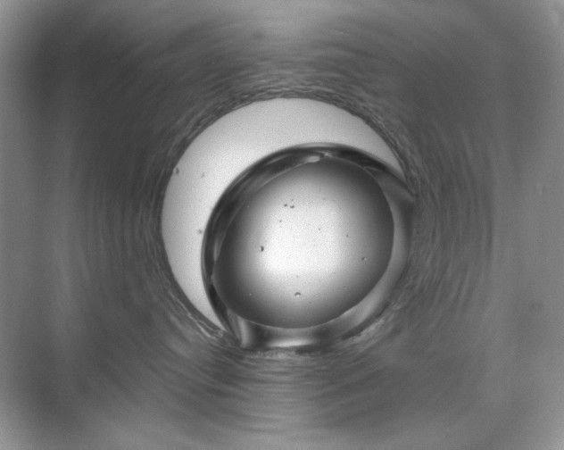 X0000071850384200607072308