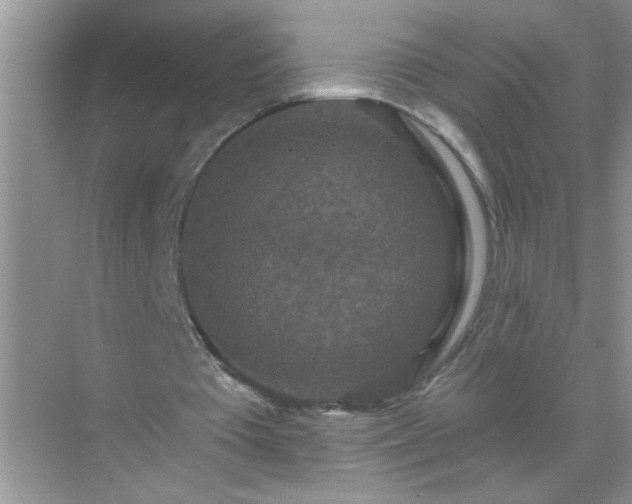 X0000071850385200607072307