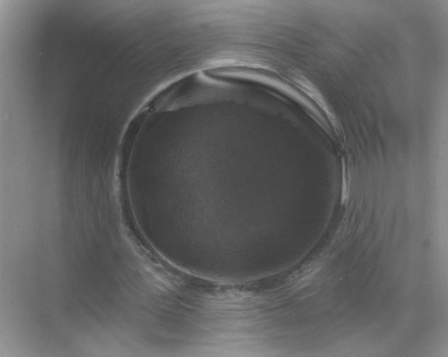 X0000071850387200607072307