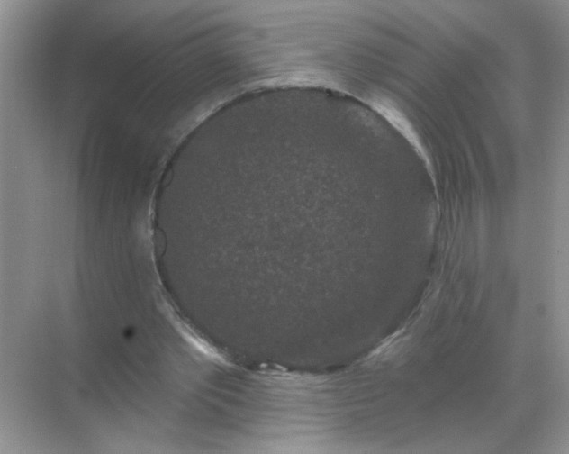 X0000071850389200607072307