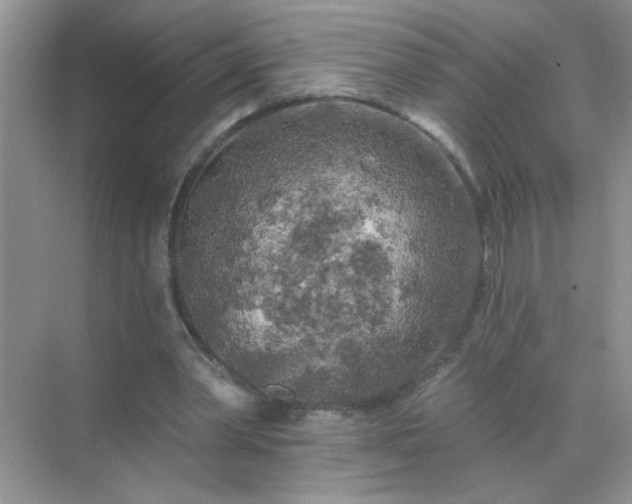 X0000071850390200607072307