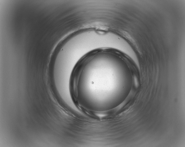 X0000071850392200607072307