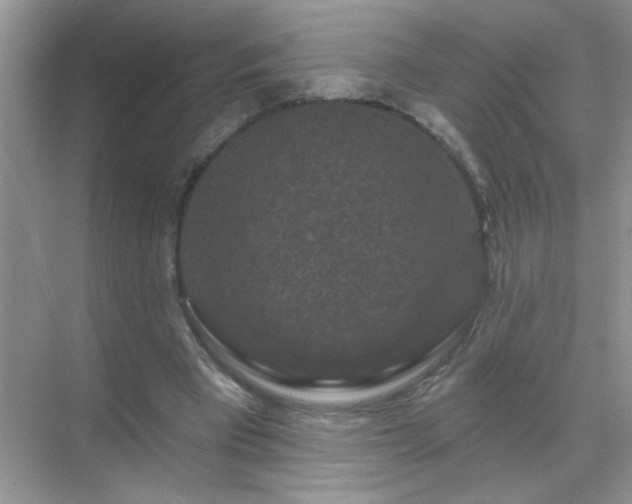 X0000071850393200607072307