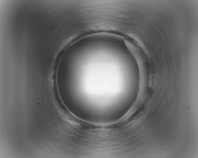 X0000071850395200607072307