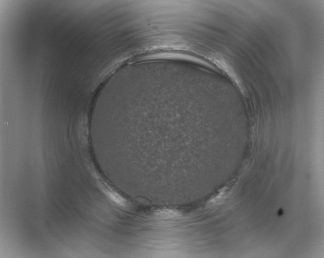 X0000071850397200607072307