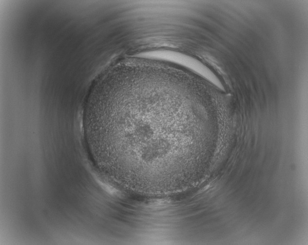 X0000071850398200607072307