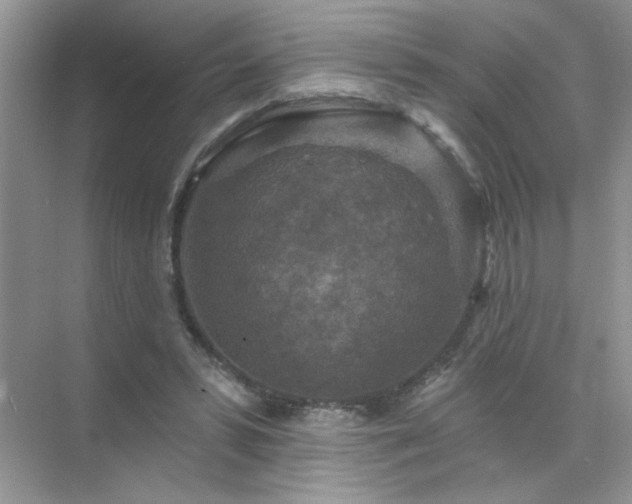 X0000071850399200607072307