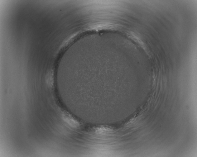 X0000071850400200607072307