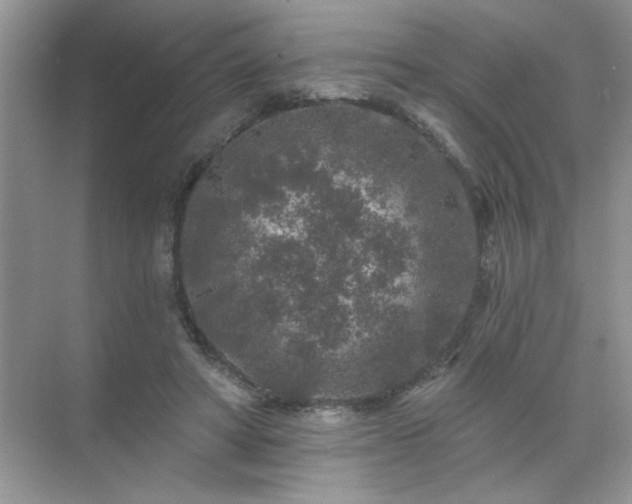 X0000071850402200607072307