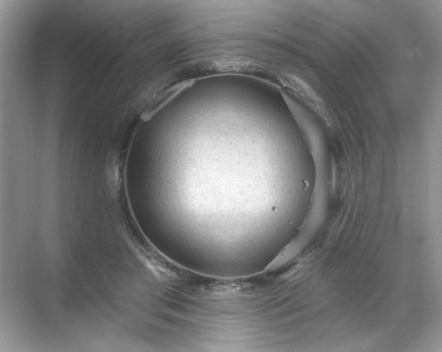 X0000071850405200607072307