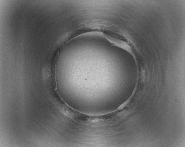 X0000071850407200607072306