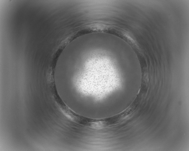 X0000071850411200607072306