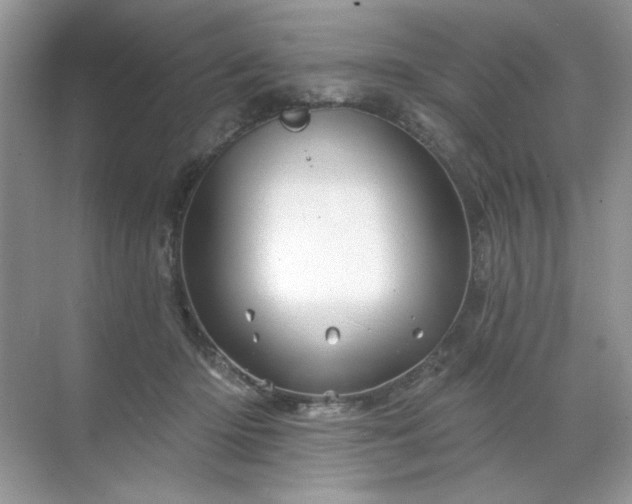 X0000071850414200607072306