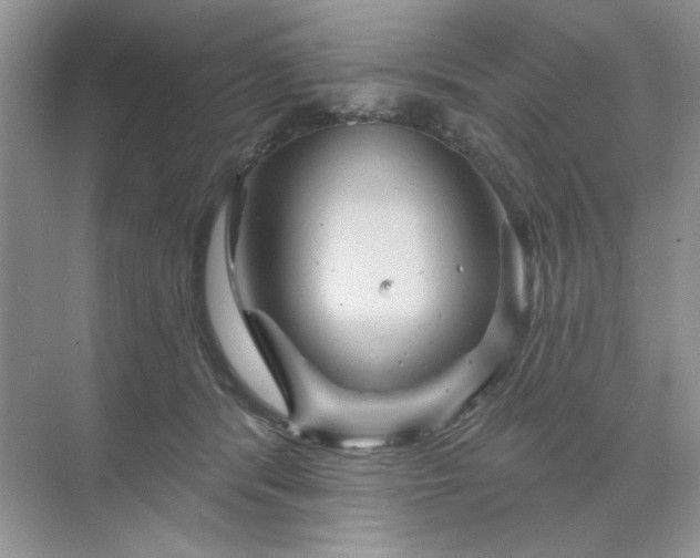 X0000071850416200607072306