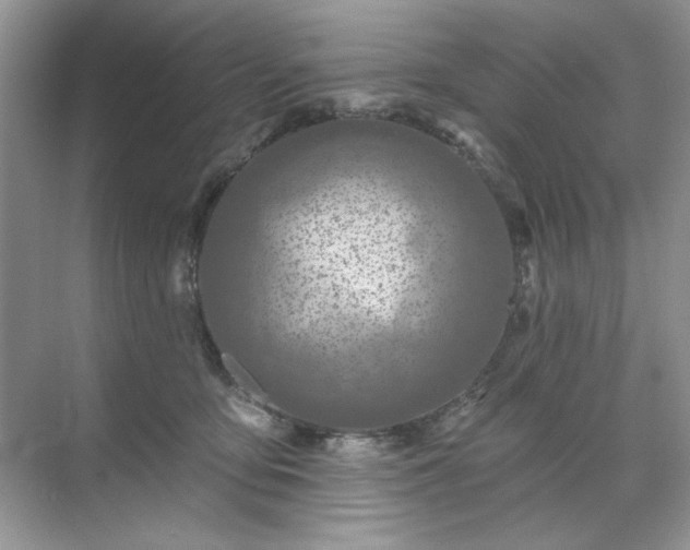 X0000071850419200607072306