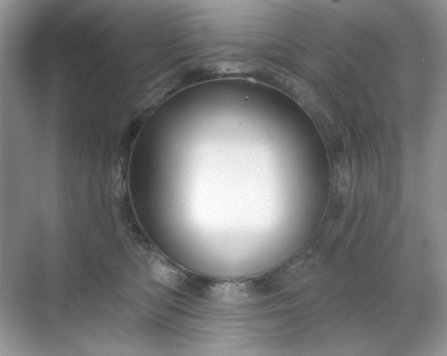 X0000071850422200607072306