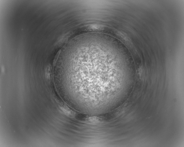 X0000071850423200607072306