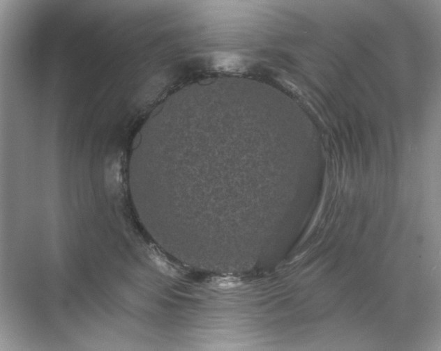 X0000071850424200607072306