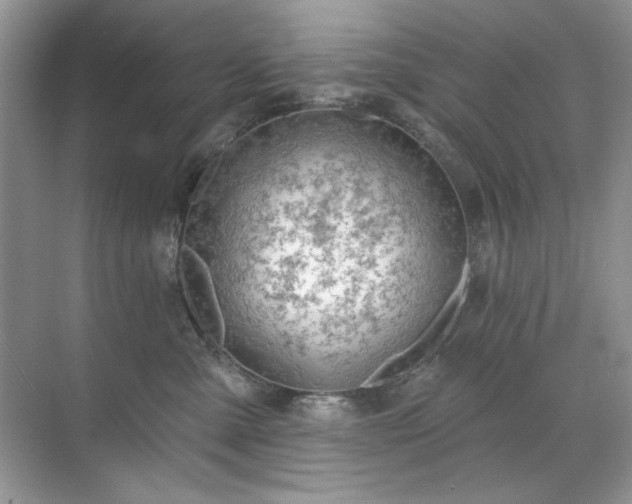 X0000071850427200607072306