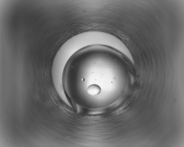 X0000071850429200607072306