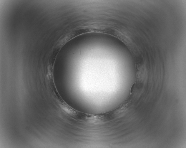 X0000071850430200607072306