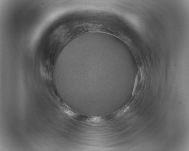 X0000071850431200607072306