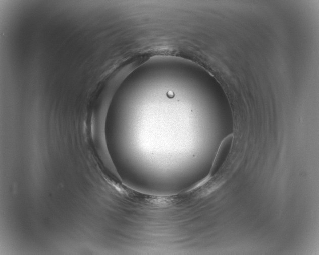 X0000071850432200607072306