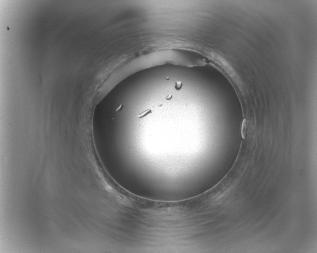 X0000071850433200607072305