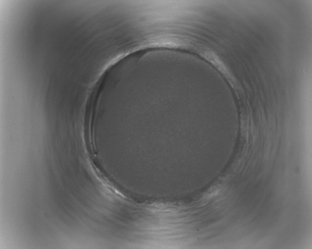 X0000071850434200607072305