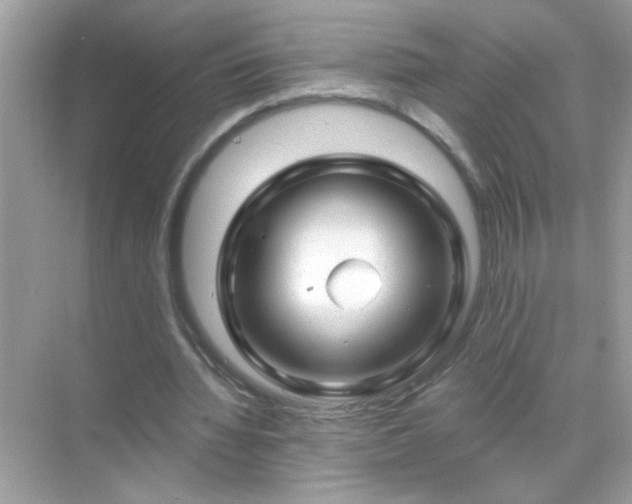 X0000071850436200607072305