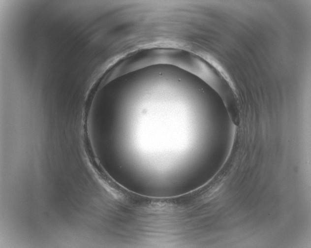 X0000071850437200607072305