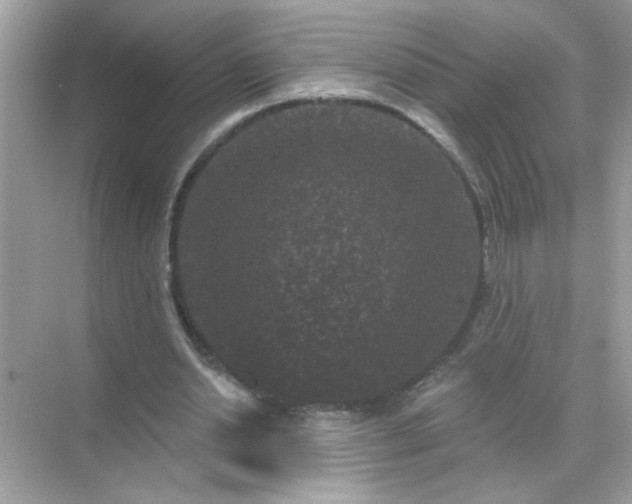 X0000071850438200607072305