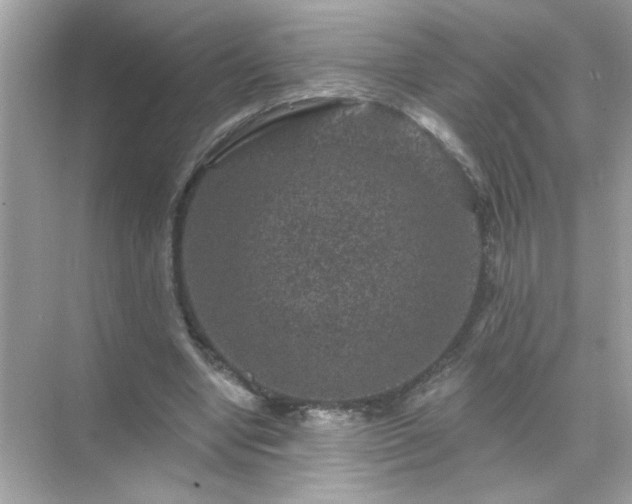 X0000071850442200607072305