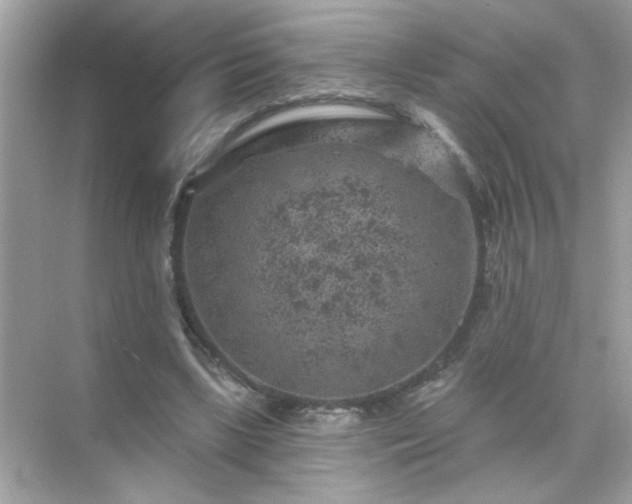 X0000071850443200607072305