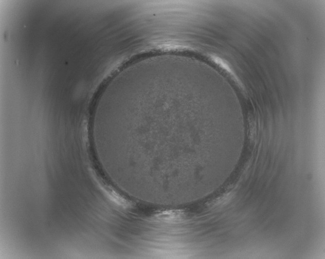 X0000071850447200607072305