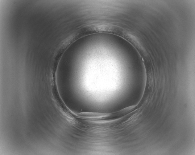 X0000071850453200607072306