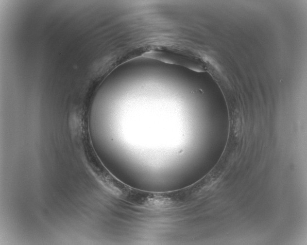 X0000071850455200607072306