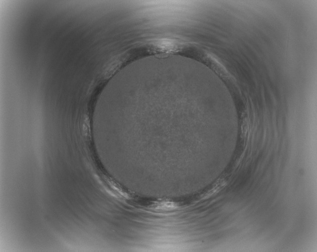 X0000071850459200607072306