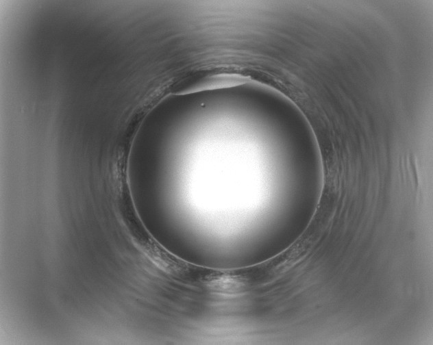 X0000071850460200607072306