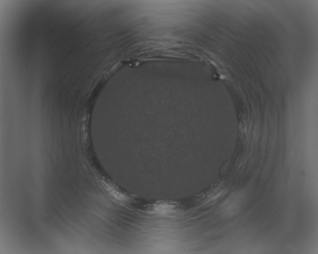 X0000071850462200607072306