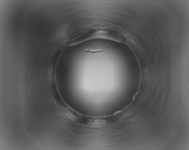 X0000071850463200607072306