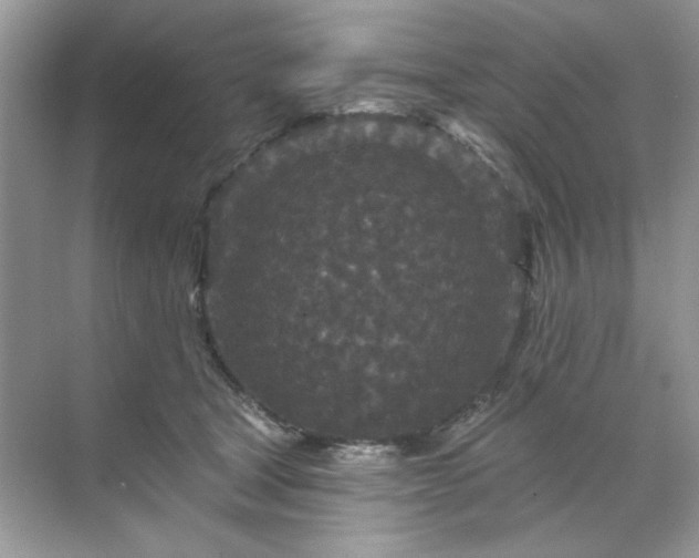 X0000071850465200607072306