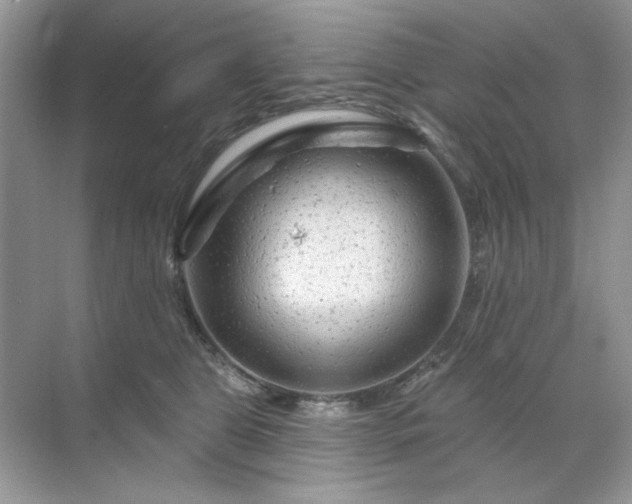 X0000071850469200607072306