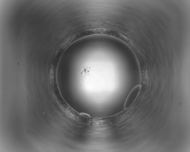 X0000071850472200607072306